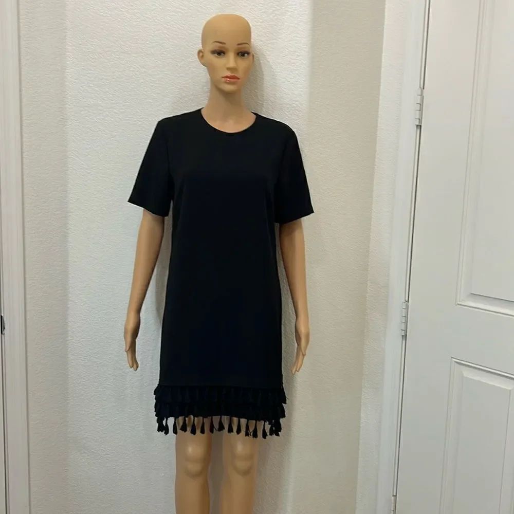 Zara Woman’s Black Dress Size Small Scoop Neck Short Sleeve Fringe Zipper Back